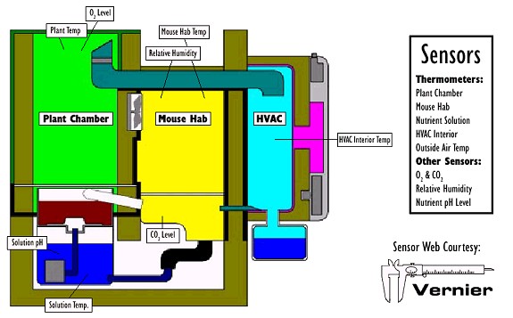 Sensor Web Diagram