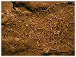 Painted - Top View